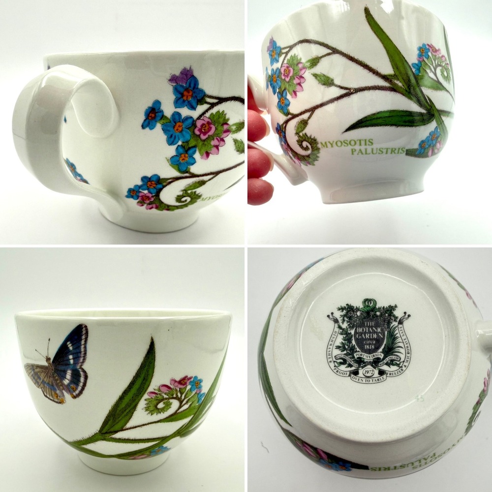 Portmeirion Botanic Garden Tea Cup Myosotis Palustris Forget-Me-Not England NICE